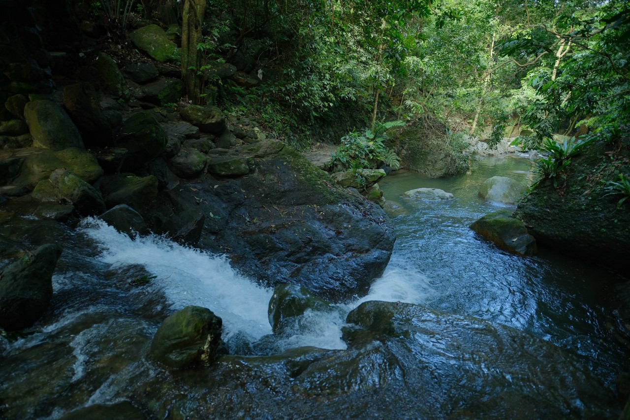 Du khách có thể ghé khu vực Suối Ngà để picnic, tắm suối